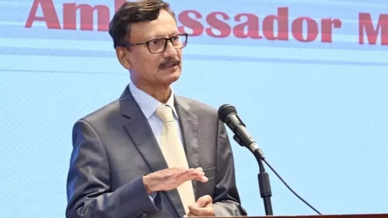 ‘তারেক রহমানের ট্রাভেল ডকুমেন্টে সমস্যা থাকলে সমাধান করব’