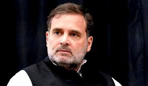 বিজেপি ও মোদিকে মানুষ আর ভয় পাচ্ছে না: রাহুল