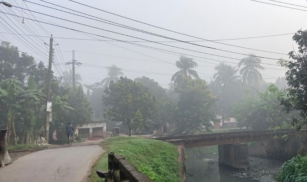 কুয়াশার চাদরে নিজেকে মুড়িয়েছে রাজশাহী
