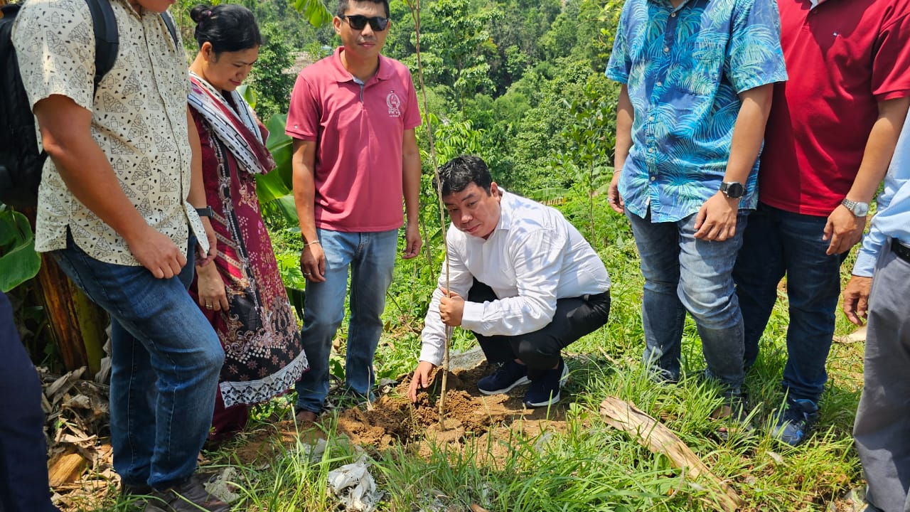 ১০ হাজার গাছের চারা রোপন করবে রাঙামাটি সড়ক বিভাগ