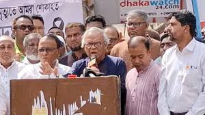 অন্তর্বর্তী সরকারে 'কিচেন কেবিনেট' আছে: রিজভী