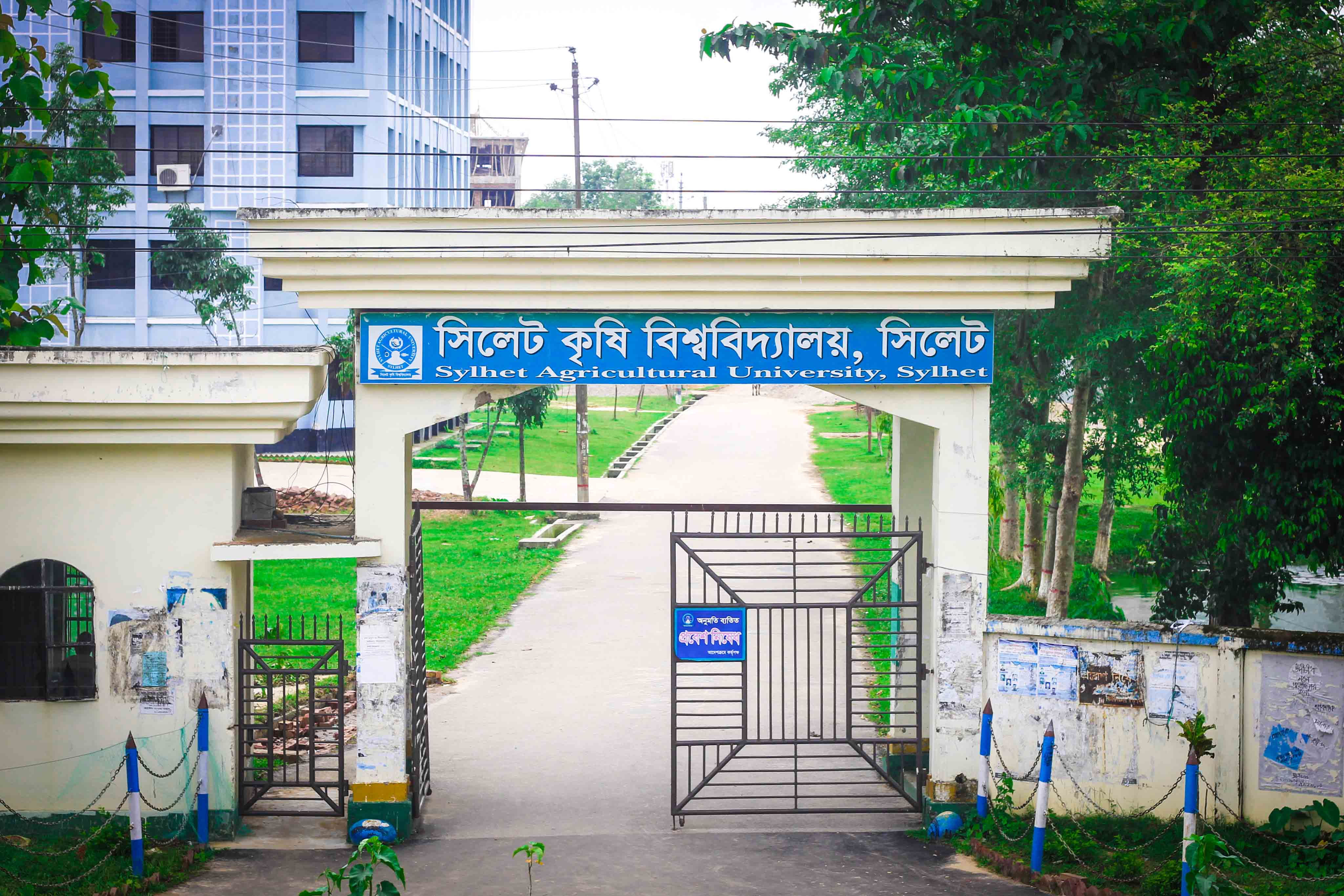 উদ্ভাবনীতে দেশে শীর্ষে সিলেট কৃষি বিশ্ববিদ্যালয়