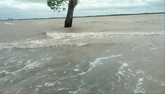 ১০ ফুট পানির নিচে সুন্দরবন, প্রাণীদের নিয়ে উদ্বেগ
