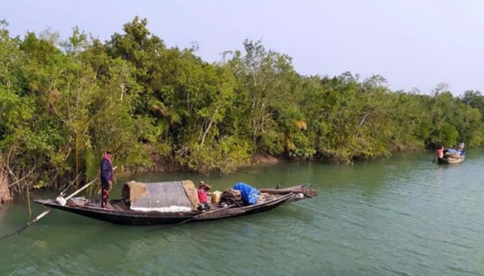 তিন মাস বন্ধ থাকার পর খুলছে সুন্দরবন