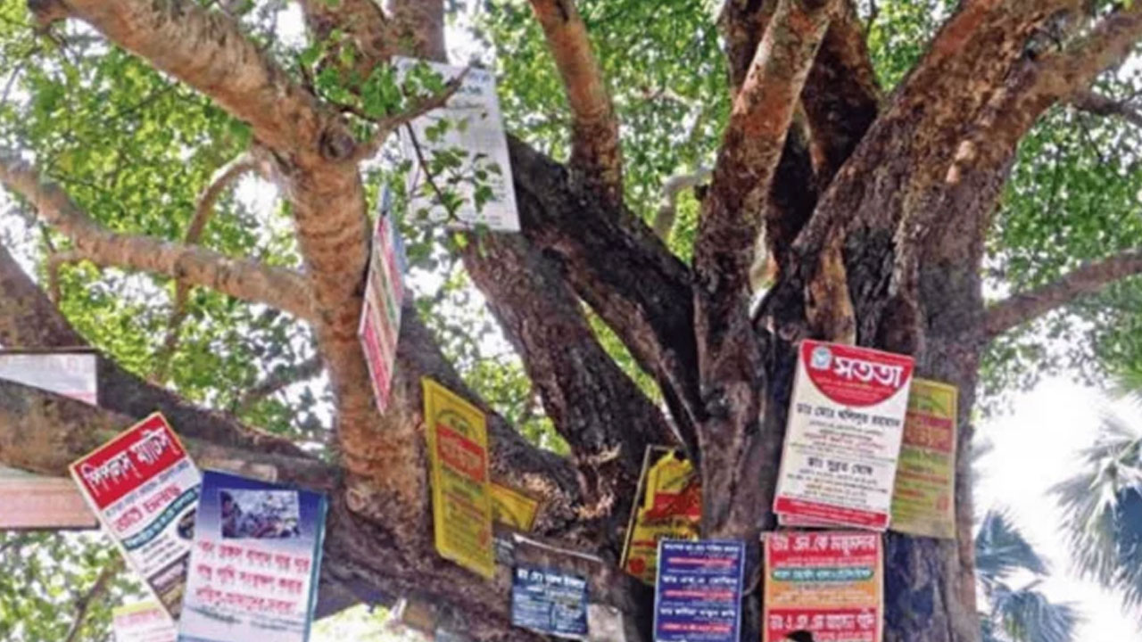 গাছে পেরেক লাগালে ২০ হাজার টাকা জরিমানা