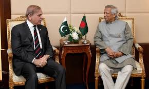 কায়রোতে প্রধান উপদেষ্টার সঙ্গে পাকিস্তানের প্রধানমন্ত্রীর বৈঠক